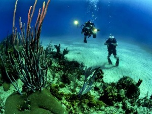 Scuba Diving