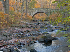 Oenus River