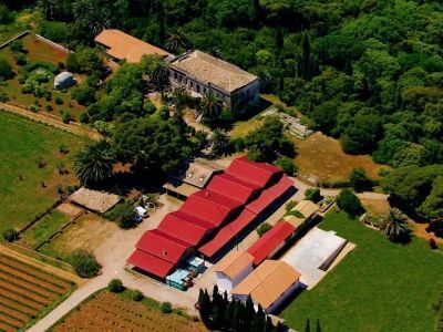 Mercouri Estate | Peloponnese wines | The Vineyards of Peloponnese | Peloponnese Wine Region | Peloponnese Wine Roads | Wines and Grape Varieties of Peloponnese | Peloponnese wineries | Wines from the Peloponnese