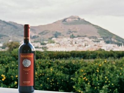 Papantonis Winery | Peloponnese wines | The Vineyards of Peloponnese | Peloponnese Wine Region | Peloponnese Wine Roads | Wines and Grape Varieties of Peloponnese | Peloponnese wineries | Wines from the Peloponnese