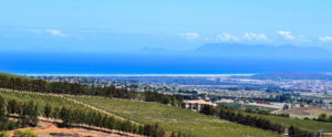 Rhodes Wines