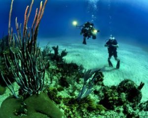 Scuba Diving Halkidiki