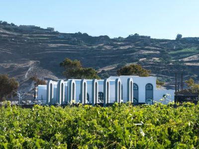 Santorini wines | Wines of Santorini | Santorini wine tours | Santorini Santo wines | Santorini vineyard | Santorini Greek wine