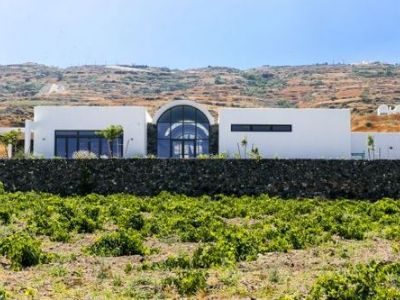 Santorini wines | Wines of Santorini | Santorini wine tours | Santorini Santo wines | Santorini vineyard | Santorini Greek wine